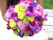 Armsbury Alberts Wedding Trailer